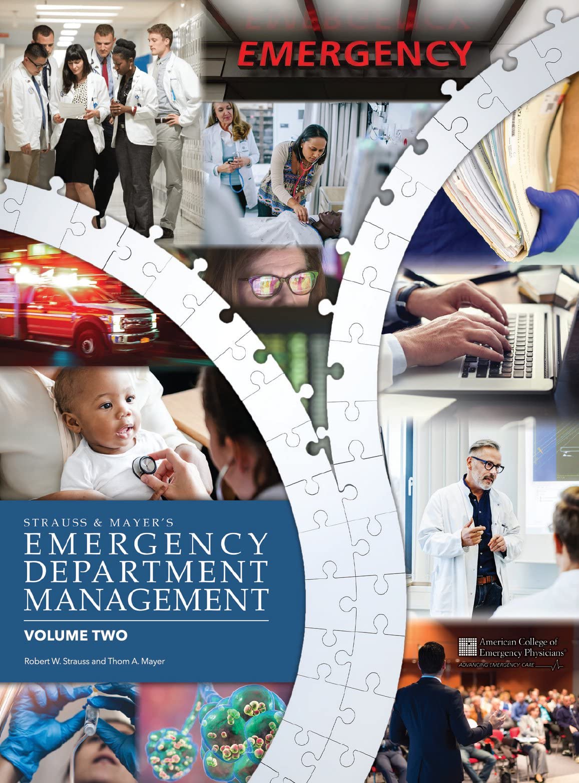 Emergency Department Management: Volume 2 of 2 (Strauss & Mayer's Emergency Department Management)