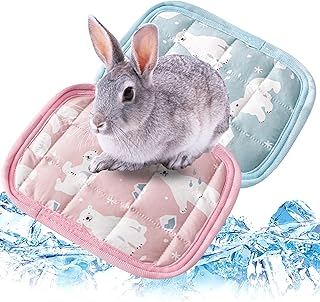 TYXHXTF 2 Stück Kleintier-Bettmatte, Haustier Kühlmatte Kühldecke für Sommer Meerschweinchen Bett Weich und Bequem, Für Kaninchen, Chinchilla, Eichhörnchen, Meerschweinchen product image
