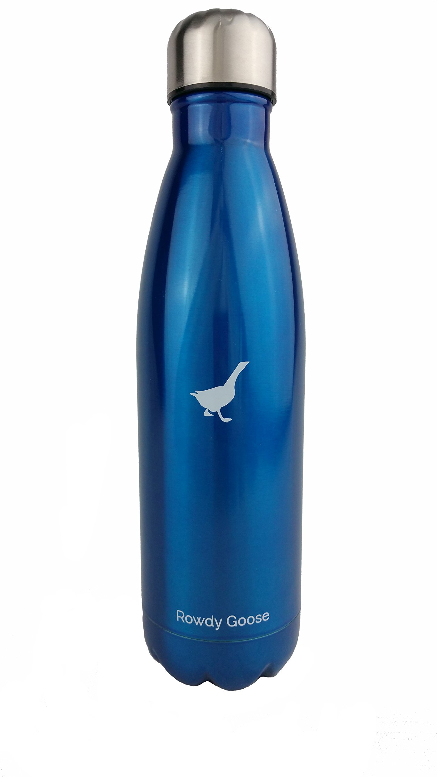 Rowdy Goose 17 oz. Insulated Stainless Steel Water Bottle (Blue)
