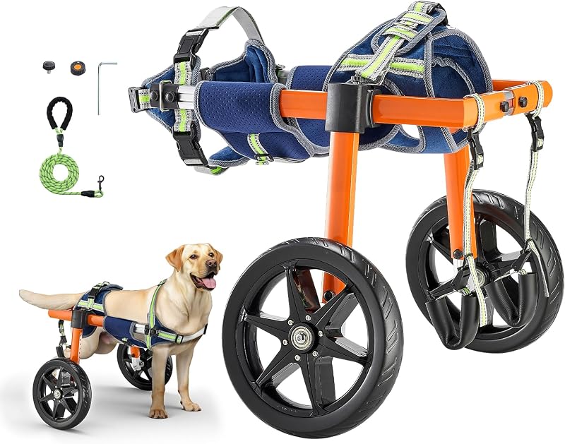 VEVOR Silla de ruedas para perros para patas traseras, silla de ruedas ligera de 2 ruedas para mascotas, altura, ancho y largo ajustable, carrito para perros con ruedas amortiguadoras, para perros heridos y discapacitados