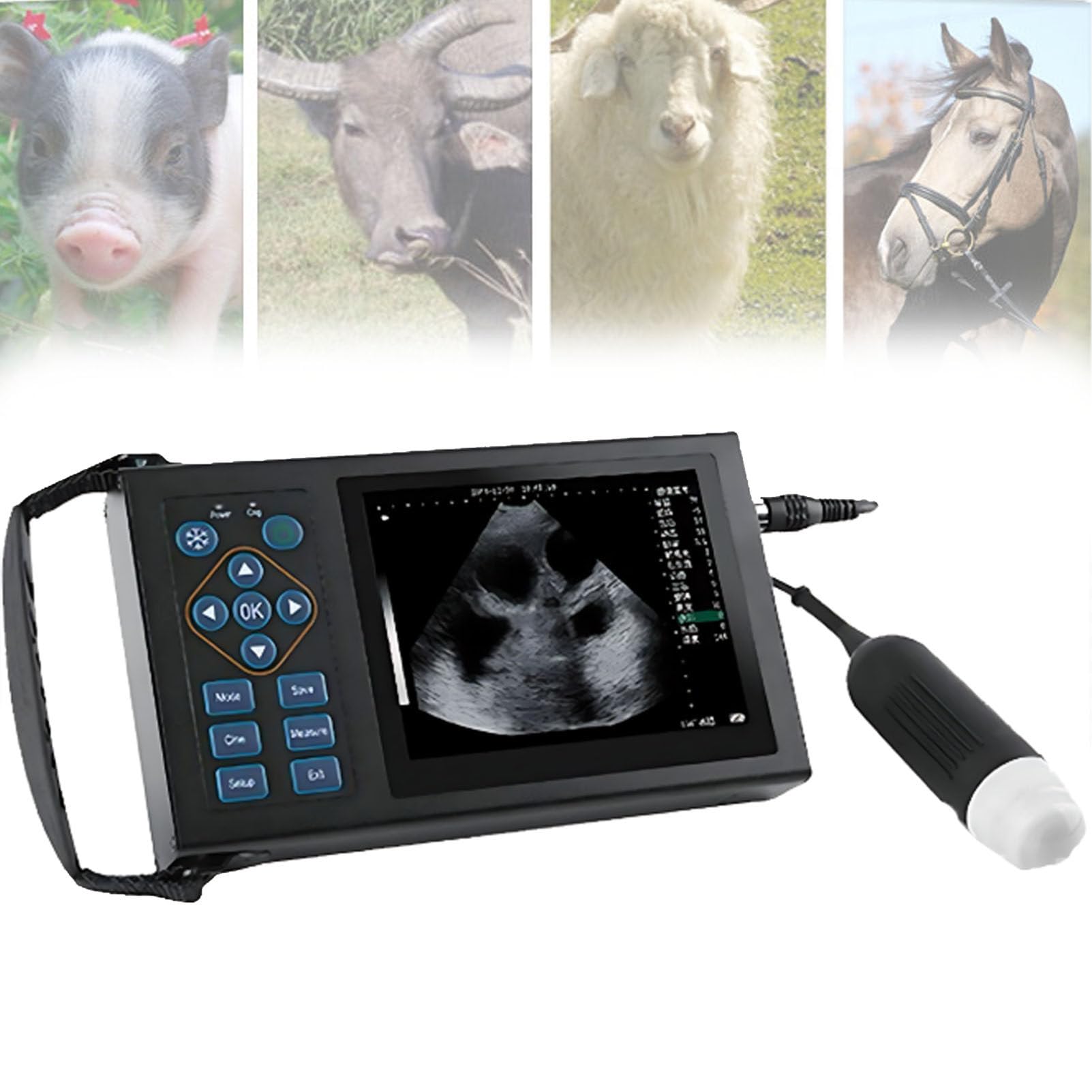 éChographe VéTéRinaire, éChographe VéTéRinaire Portable, avec Sonde Convexe De 3,5 MHz pour Moutons, Chiens, Chats Et Cochons D