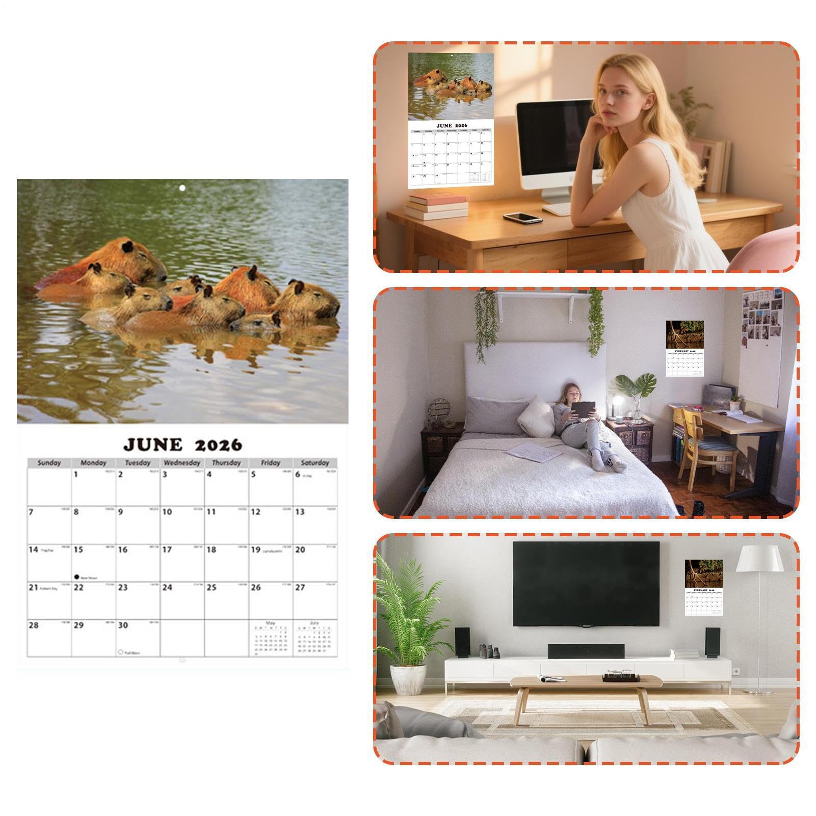 12 Monate Wandkalender,Englischer Terminplaner - 12 Monate Kalender für | die Wandmontage,Für Klassenzimmer Wohnzimmer Studentenzimmer Arbeitszimmer Schüler Lehrer
