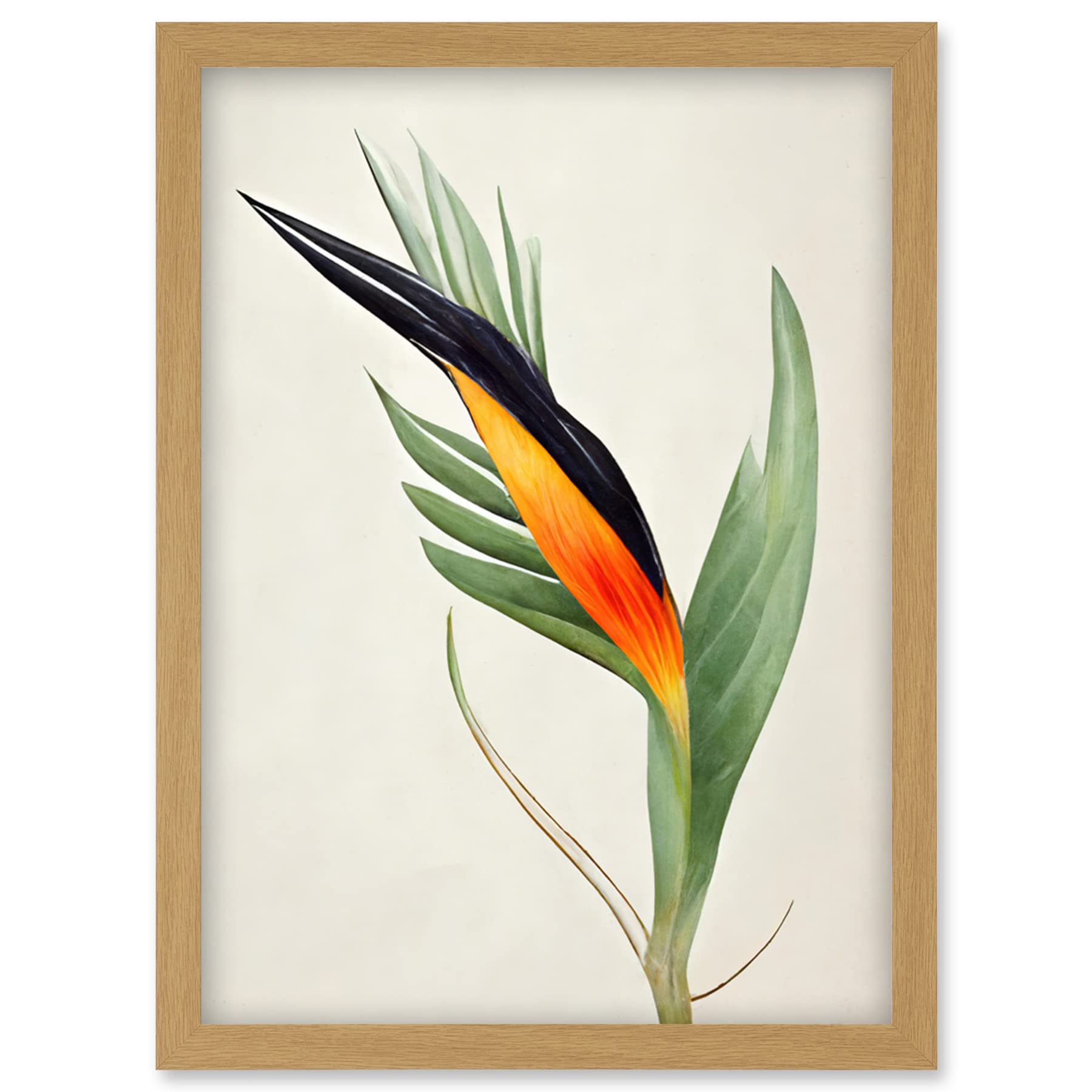 Tropical Bird of Paradise Flower Gold Black Illustration Artwork Framed Wall Art Print A4