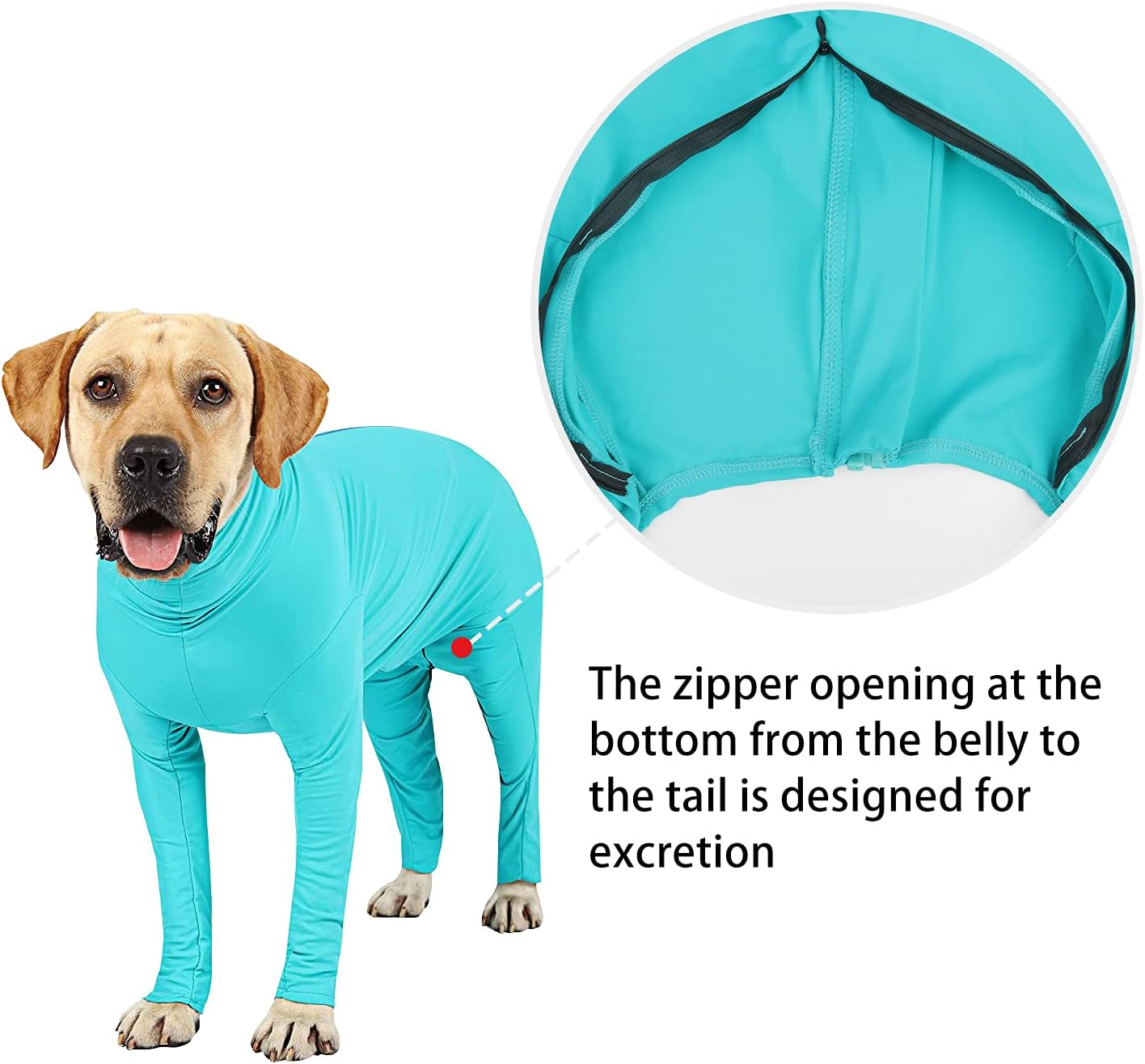Etdane Dog Onesie Surgery Recovery Suit Prevent Shedding Hair Sport Shirt Anxiety Jumpsuits Lake Blue Medium - Image 5