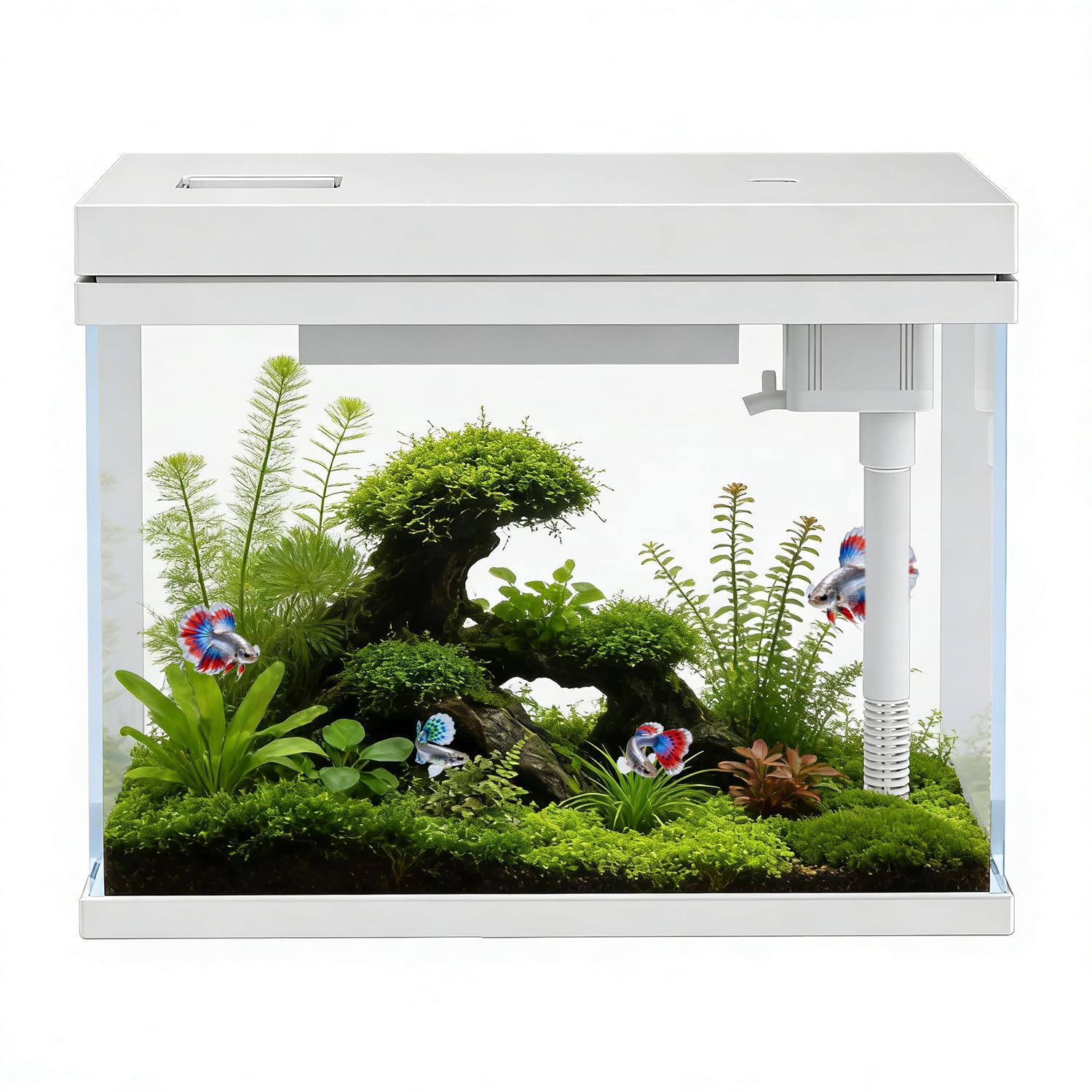 Aquarium mit Glasfront, wasserdichte und spülmittelfreie Ausführung (25L)