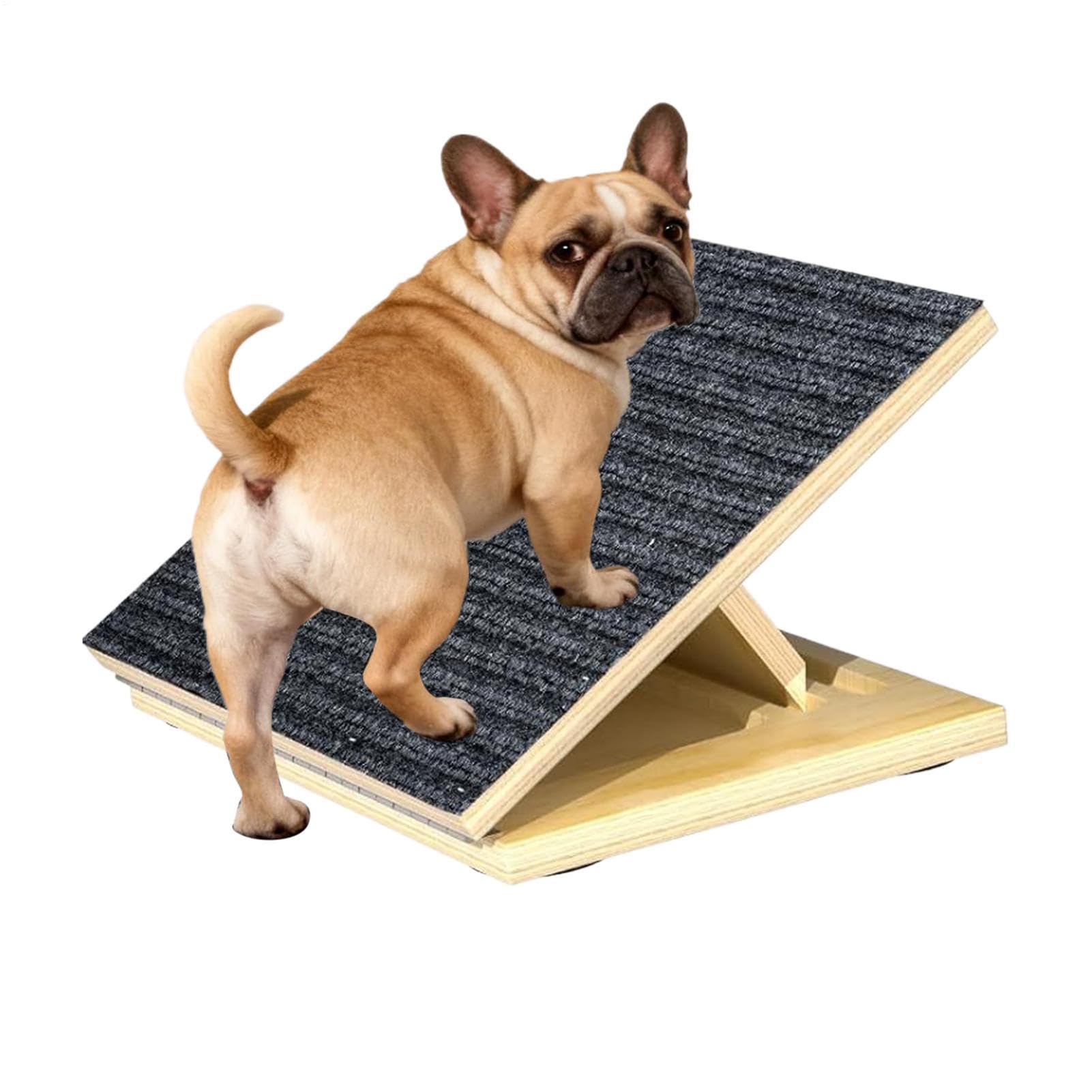 Rampa per cani da in legno portatile | Scalette Per Cani Piccoli Pet Da Alto Per cuccioli media grande anziani feriti cane gatto casa esterno divano