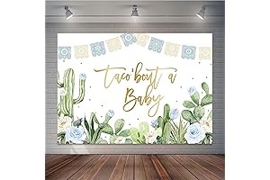 Taco 'Bout A Baby Backdrop for Blue Floral Succulent Baby Shower
