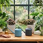 ZENFUN 2 Pack Watering Can Indoor/Outdoor Plants, 1.8 L/60oz Plastic Watering Pot Long Spout for House Bonsai Garden Flower, Modern Small Water Cans Outdoor Plants, Blue and Grey