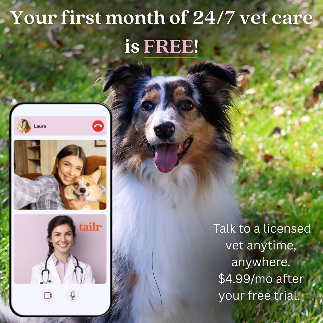 Medaglietta identificativa per animali domestici, con codice QR, medaglietta per cani di grandi dimensioni, etichetta per gatti, profilo personalizzato, include app gratuita per la gestione degli