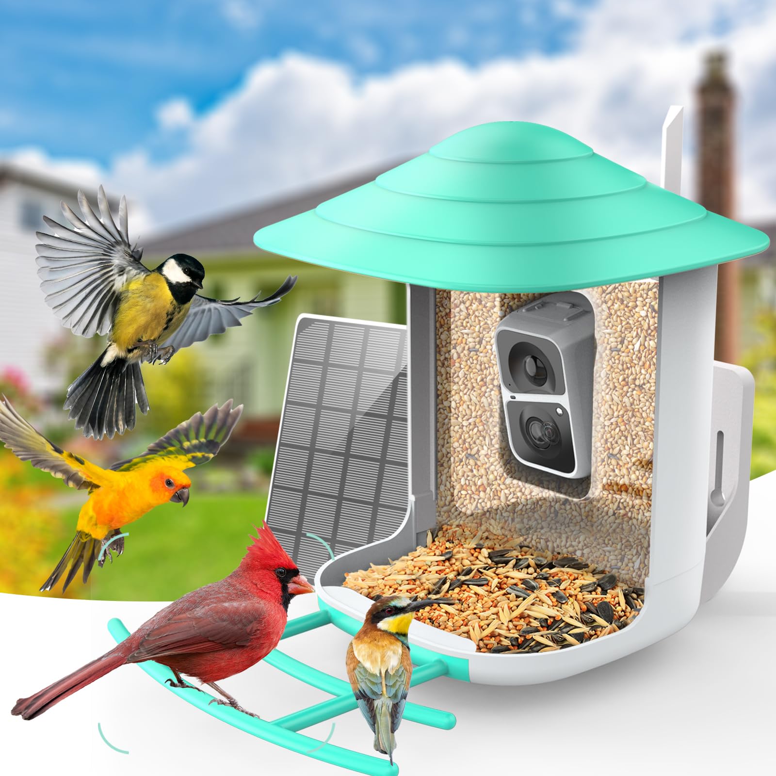 Comedero inteligente para pájaros con cámara, comedero de colibríes con identificación de inteligencia artificial para especies de aves, cámara de observación de aves, cámara de captura