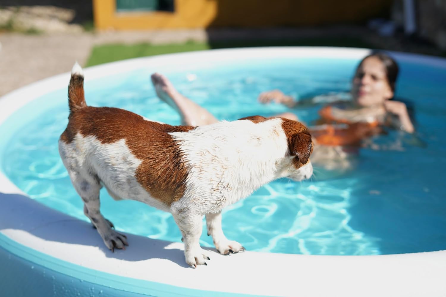 Inflatable Swimming Pool, Blue/white, 6977232130000