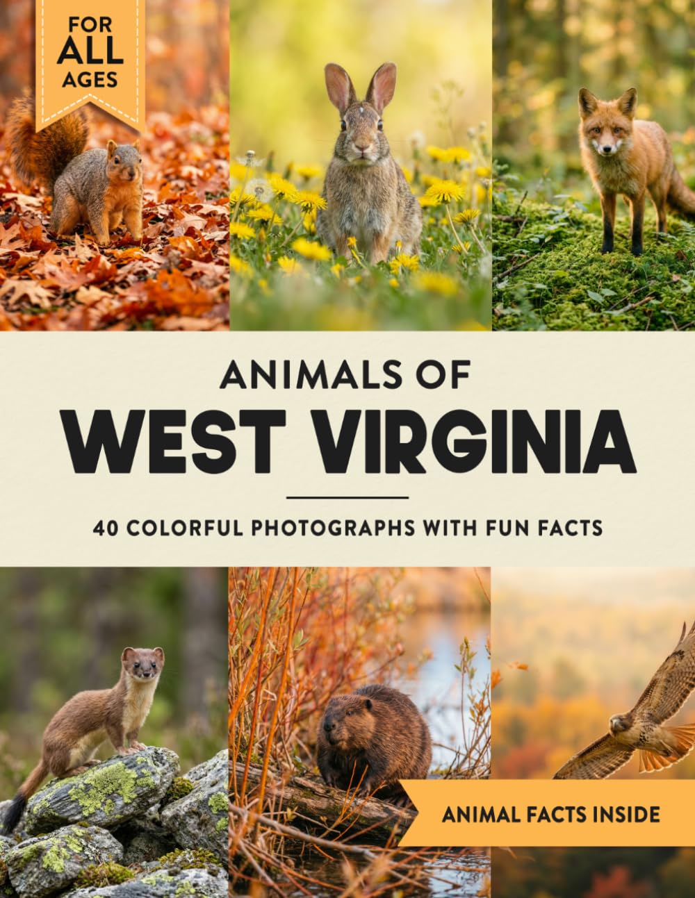 Animals of West Virginia: Learn All About Mountain State Wildlife in a Fun Fact Picture Book for Kids and Adults