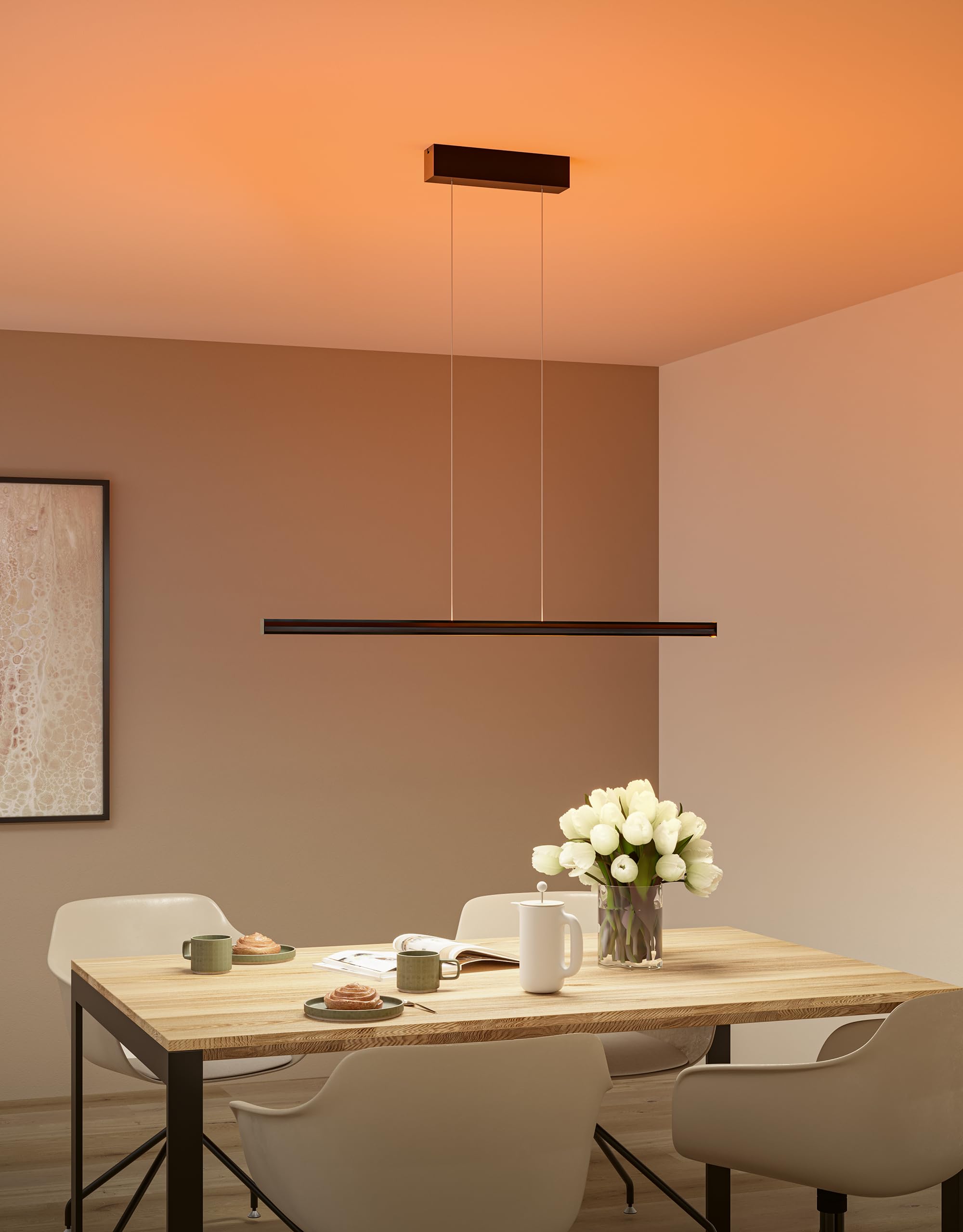 Paulmann 78477 LED Pendelleuchte Lesko RGBW+ dimmbar 2300lm / 370lm 19W / 3W Schwarz matt
