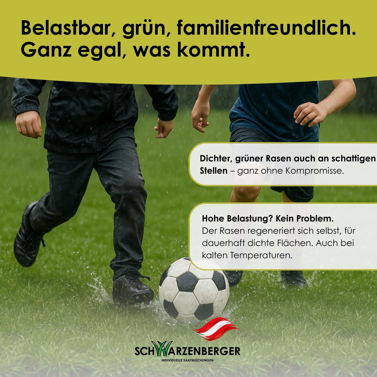 Samen Schwarzenberger I Poa Supina Rasensamen I 1 kg für 200 m² I 50% Poa Supina Anteil I dichter Rasen ohne Moos I schattenverträglich & tiefschnittverträglich I Schattenrasen