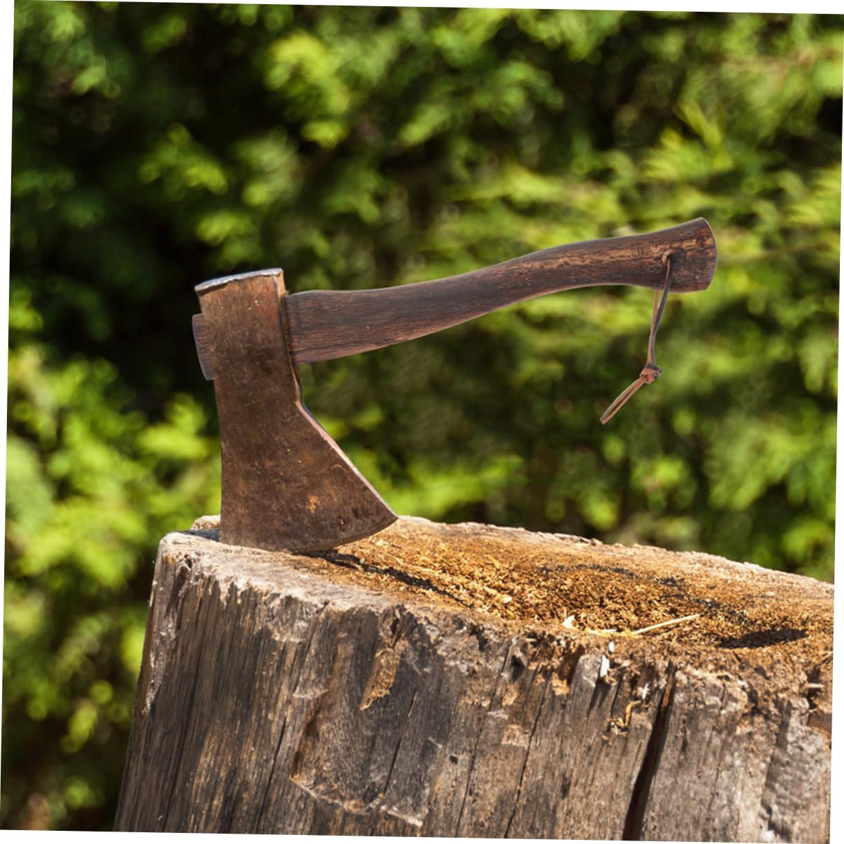 Mipcase Replacement Axe Handle for Hatchet Short Wooden Grip Wood Material for Gardening and Camping Use Ergonomic Design Easy Maintenance