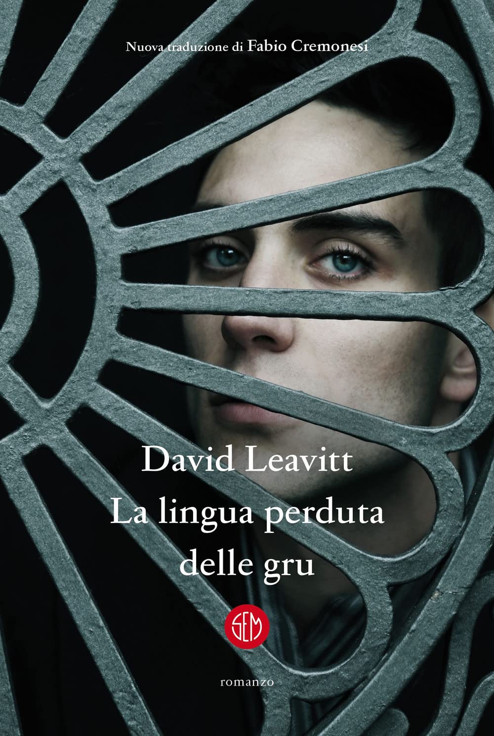 La Lingua Perduta Delle Gru - 4