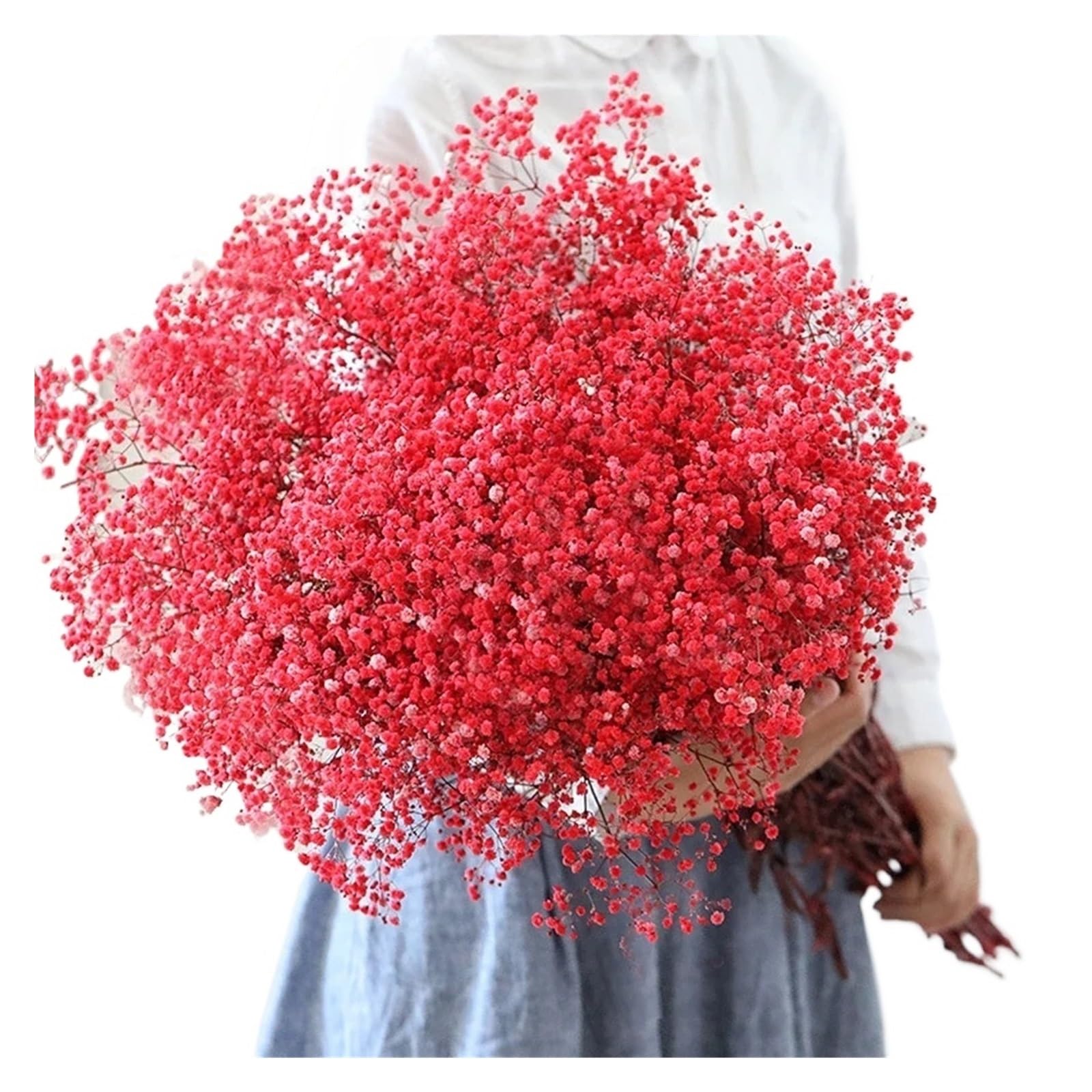 WJIAYAO dried gypsophila flowers 40-50cm Dried Flowers Gypsophila Paniculata,Baby's Breath Flower Bouquets Wedding Decoration,Home Decor(Red,60g (40cm))