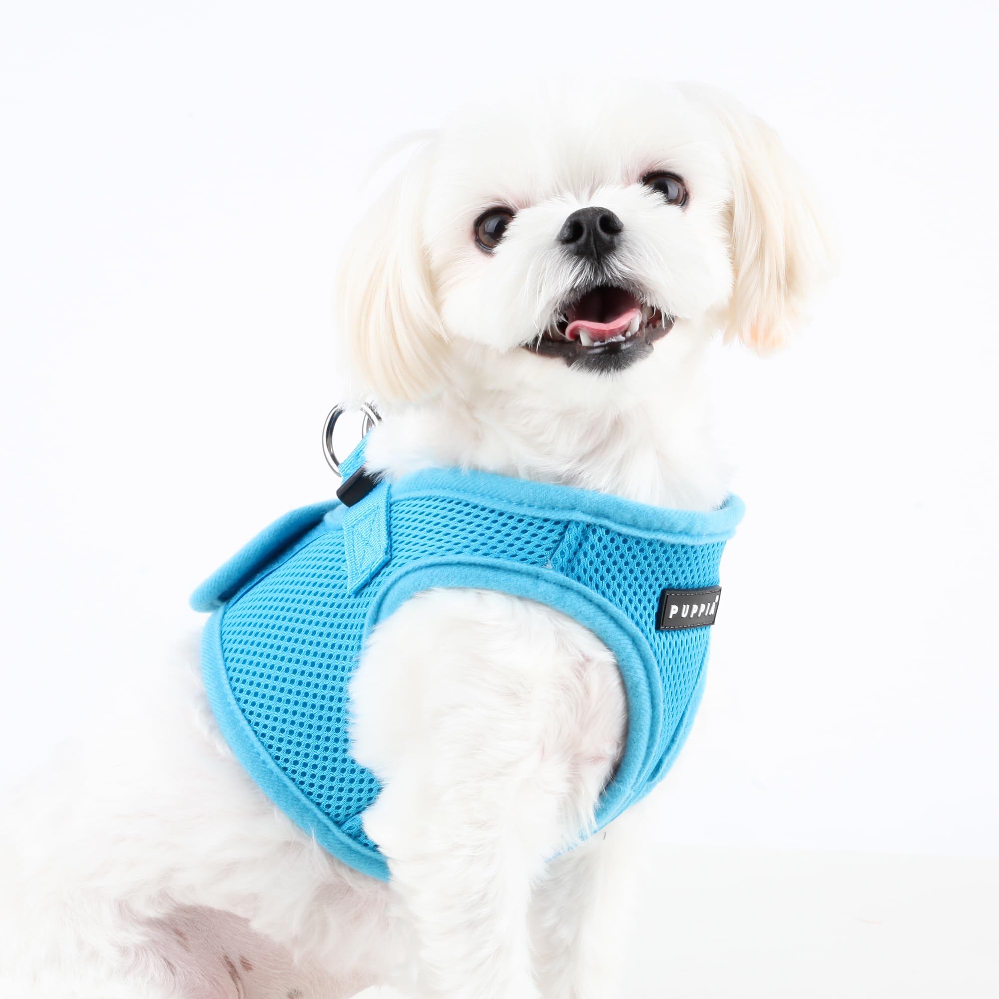 HARNESS SOFT B LIGHT BLUE M