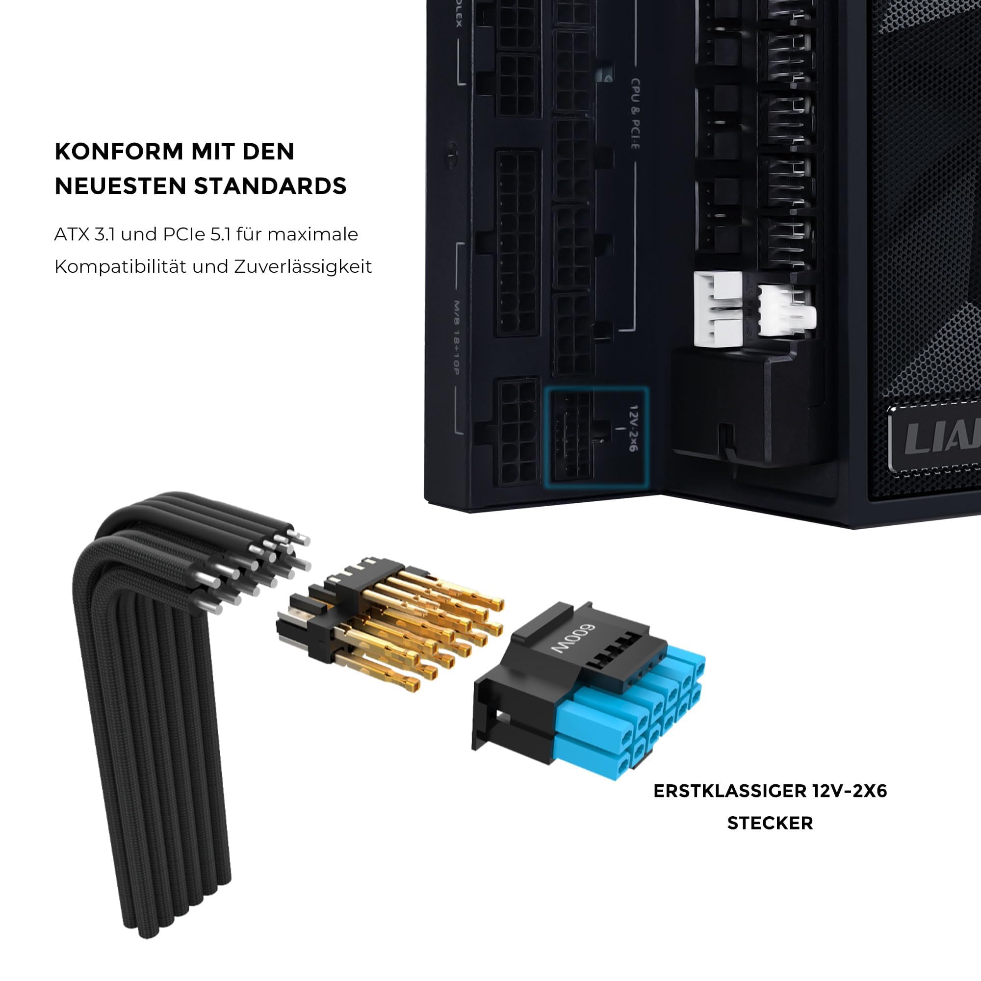LIAN LI LL-EDGE GOLD 1000W HUB BK [ブラック] EDGE GOLD - LIAN LIはPCケースの大手プロバイダーです