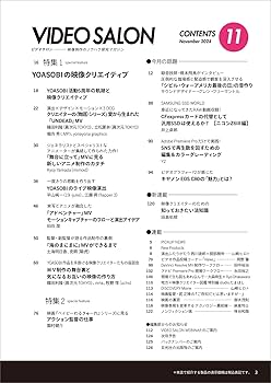 VIDEO SALON 2023年 11月12月以外のセット VIDEO SALON 2023年 11月12月以外のセット VIDEO SALON 2023年 11