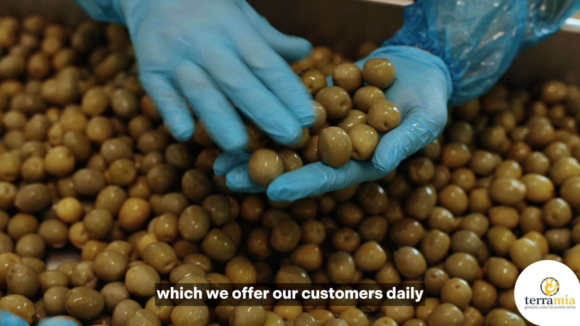 Terramia Olive Nere Infornate Siciliane – Ricetta Artigianale Tradizionale, da Azienda Premiata Ercole Olivario e Monna Oliva, Formato Scorta 2kg (4 Buste x 500g)