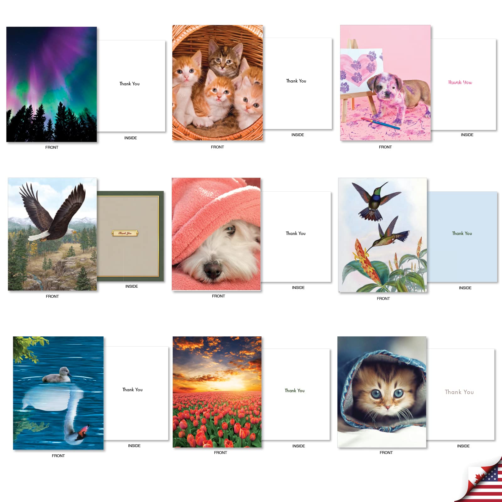 The Best Card Company - Lot de 36 cartes assorties de 10,2 x 13,5 cm avec enveloppes (36 motifs, 1 chaque), carte de gratitude en vrac – Many Smiles AM7754TYG-B1x36