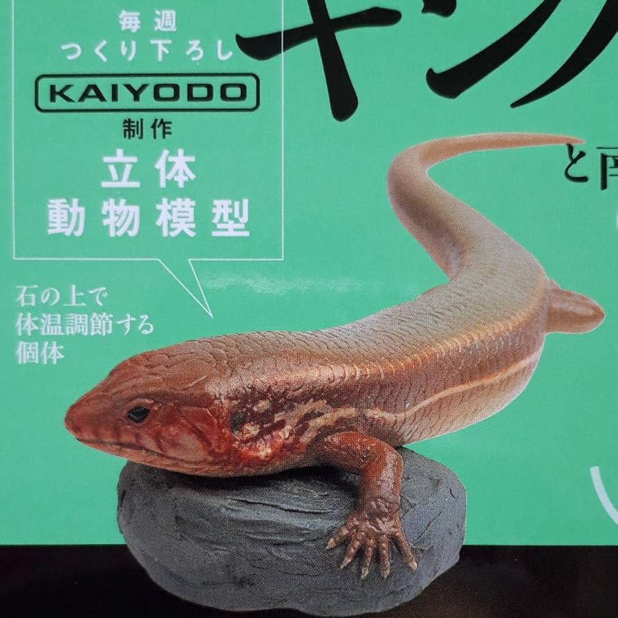 Amazon.co.jp: 週刊日本の天然記念物 動物編 キシノウエトカゲ