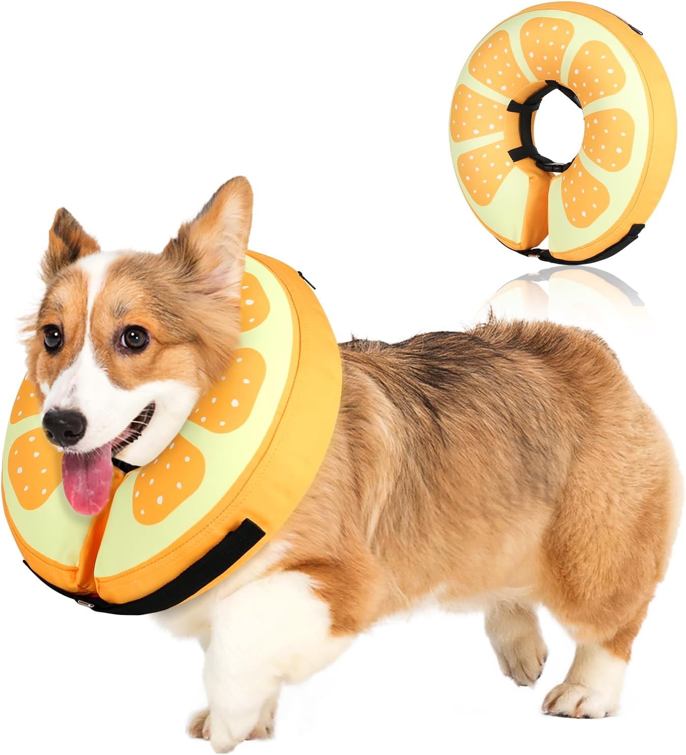 Sicilaien Inflatable Dog Collar for Small Medium Large