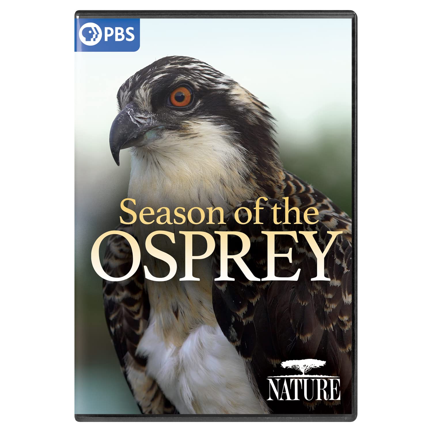 Nature: Season of the Osprey