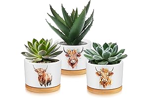 Cow Succulent Planter for Animal Lovers