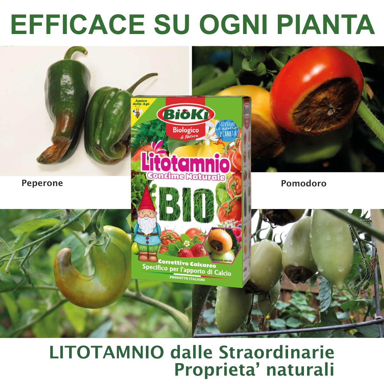Bioki® Litotamnio Correttivo calcico naturale, indicato per il marciume apicale del pomodoro, elevato apporto di Calcio e Magnesio