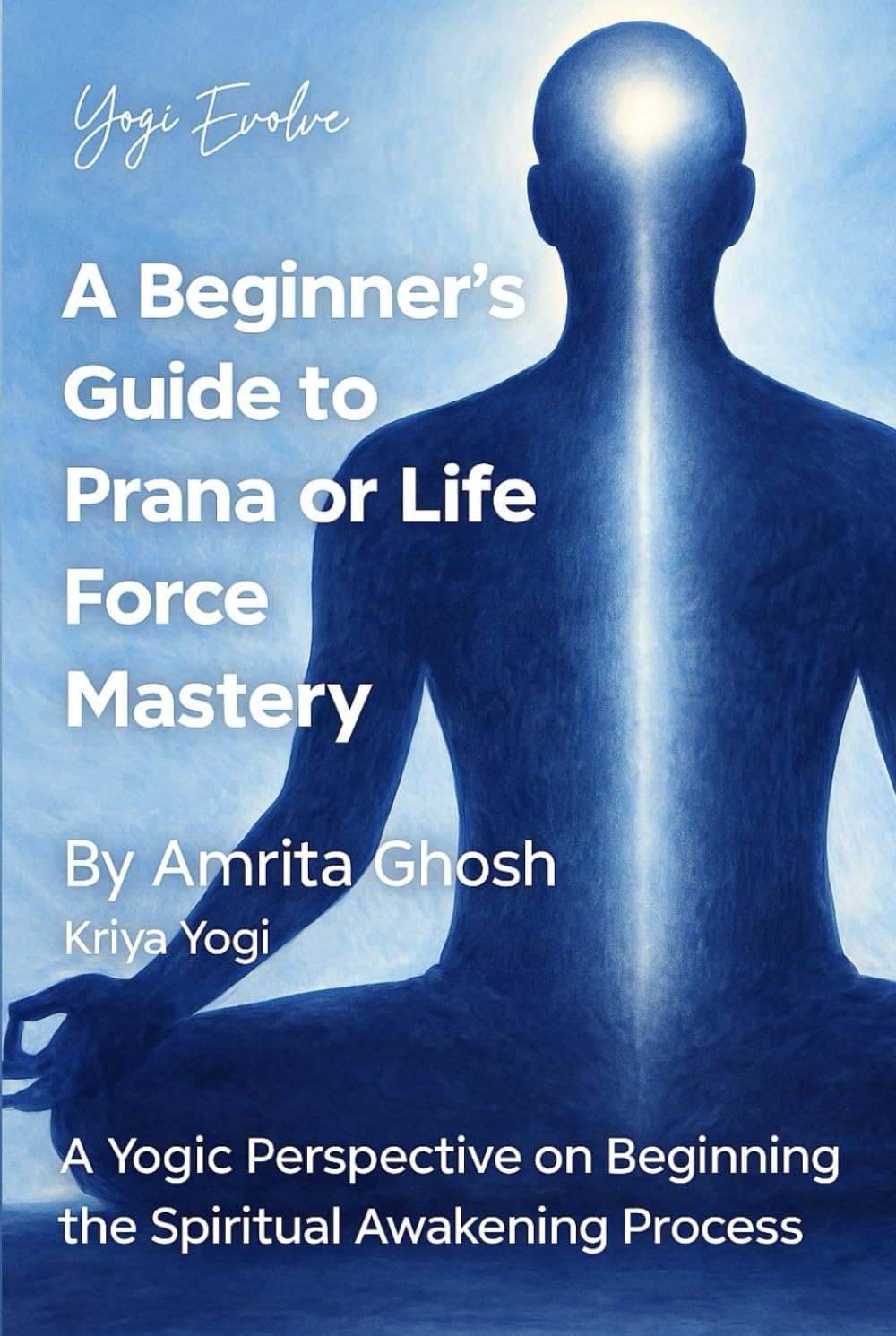 A Beginner’s Guide to Prana or Life Force Mastery: A Yogic Perspective On Beginning The Spiritual Awakening Process