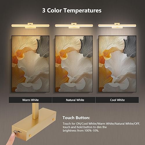 Miniatura 4 de Luz de imagen a pilas, luz de pintura inalámbrica con control remoto y temporizador, iluminación artística recargable, lámpara de visualización