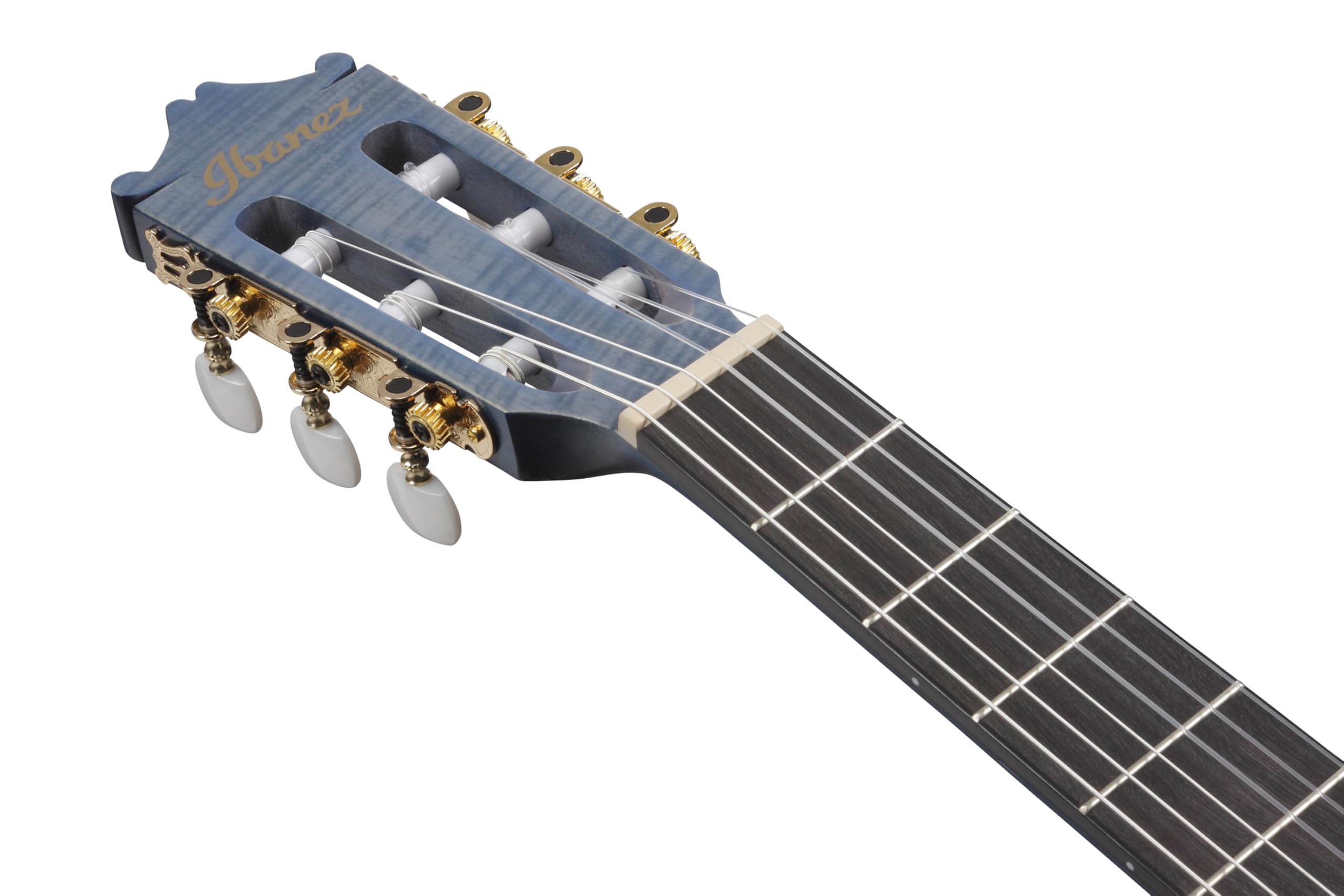 Amazon.com: Ibanez GA5FMTCE Thinline Nylon Acoustic-electric