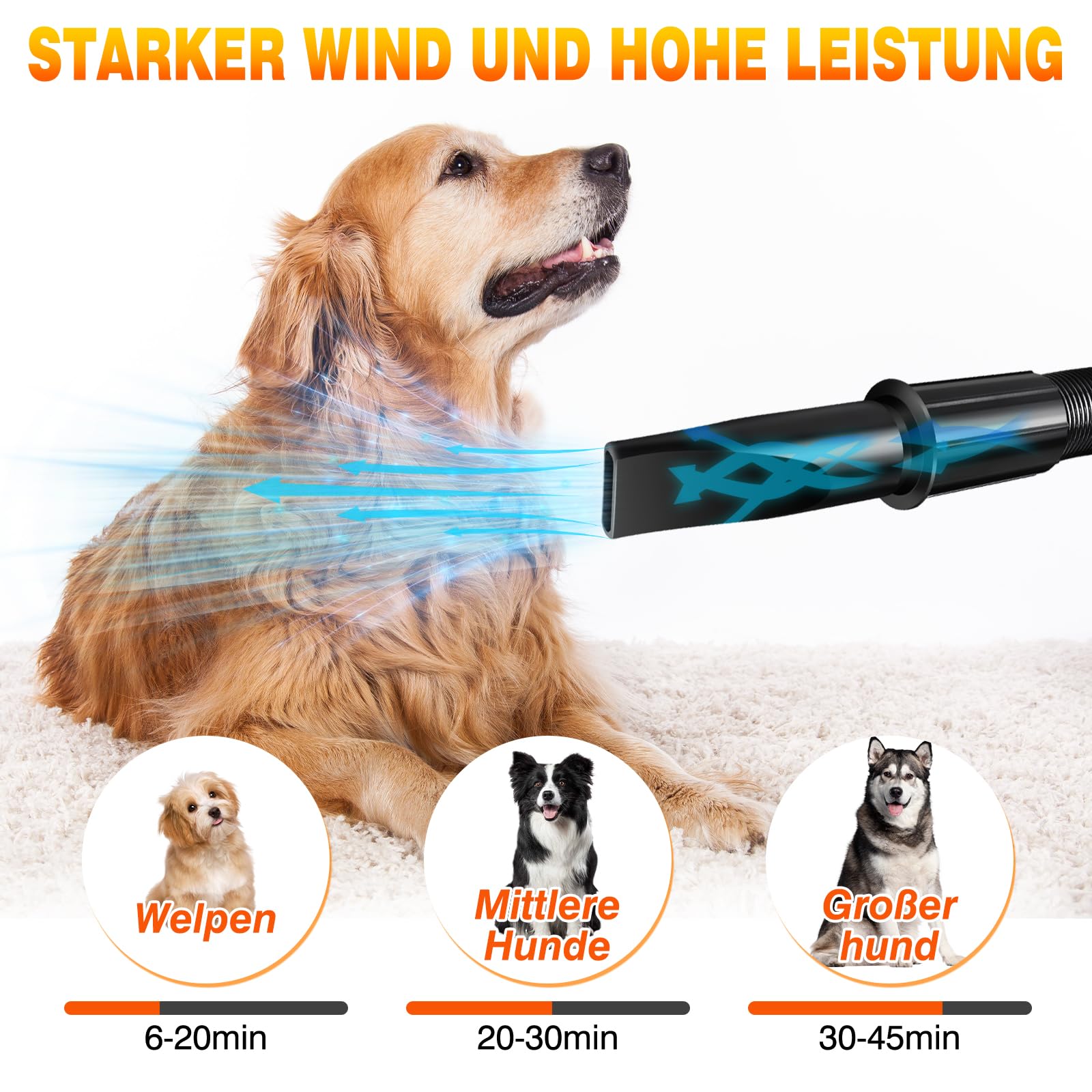 3500W Hundefön Blower Sehr Leise Tierhaartrockner Blower Hundefön Einstellbare Geschwindigkeit mit 4 Düsen Pet Dryer Fön für Haustiere Haustier Hundepflege Trockner Hundetrockner Gebläse für Hunde