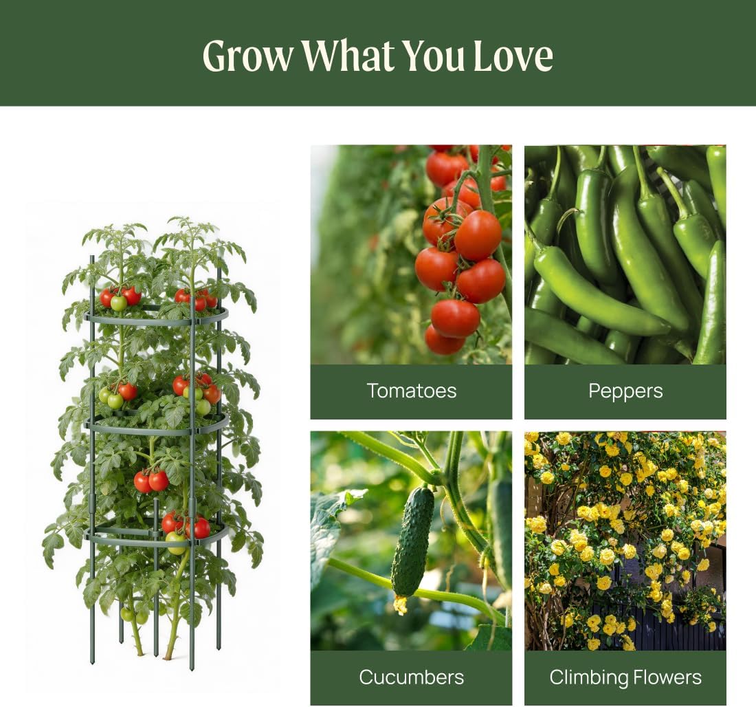 Vego Garden Tomato Cage Tomato Tower 3 Tier for Garden & Pots, Rust-Resistant Tomato Stakes Heavy Gauge Plant Cage Trellis Support for Climbing Vegetables Plants