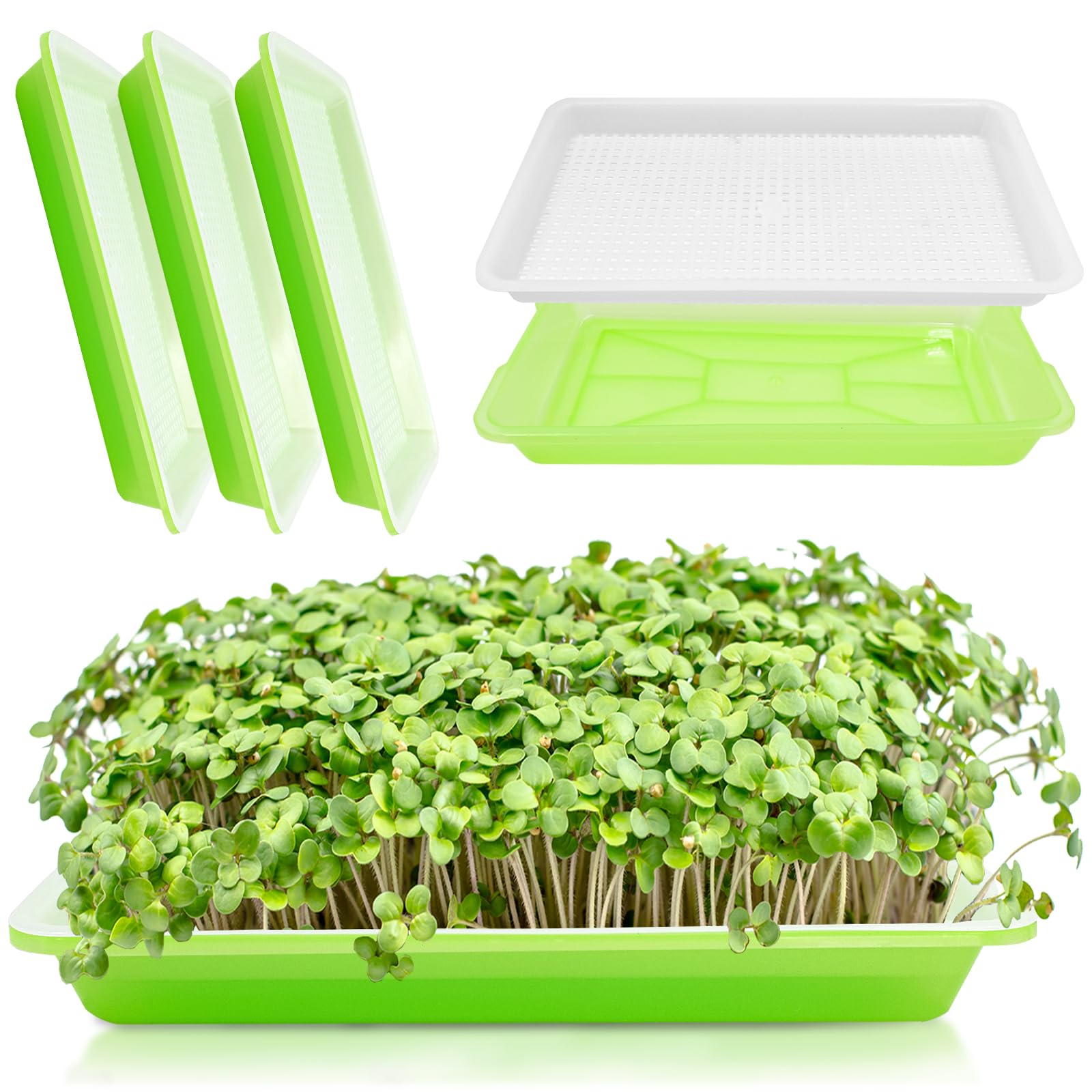 Nureeca Green 3 Pack Microgreens Growing Kit – Sprouting Kit With Mesh Tray & Base, Germination Trays For Seedlings For Cress, Sprouts & Microgreens Seeds
