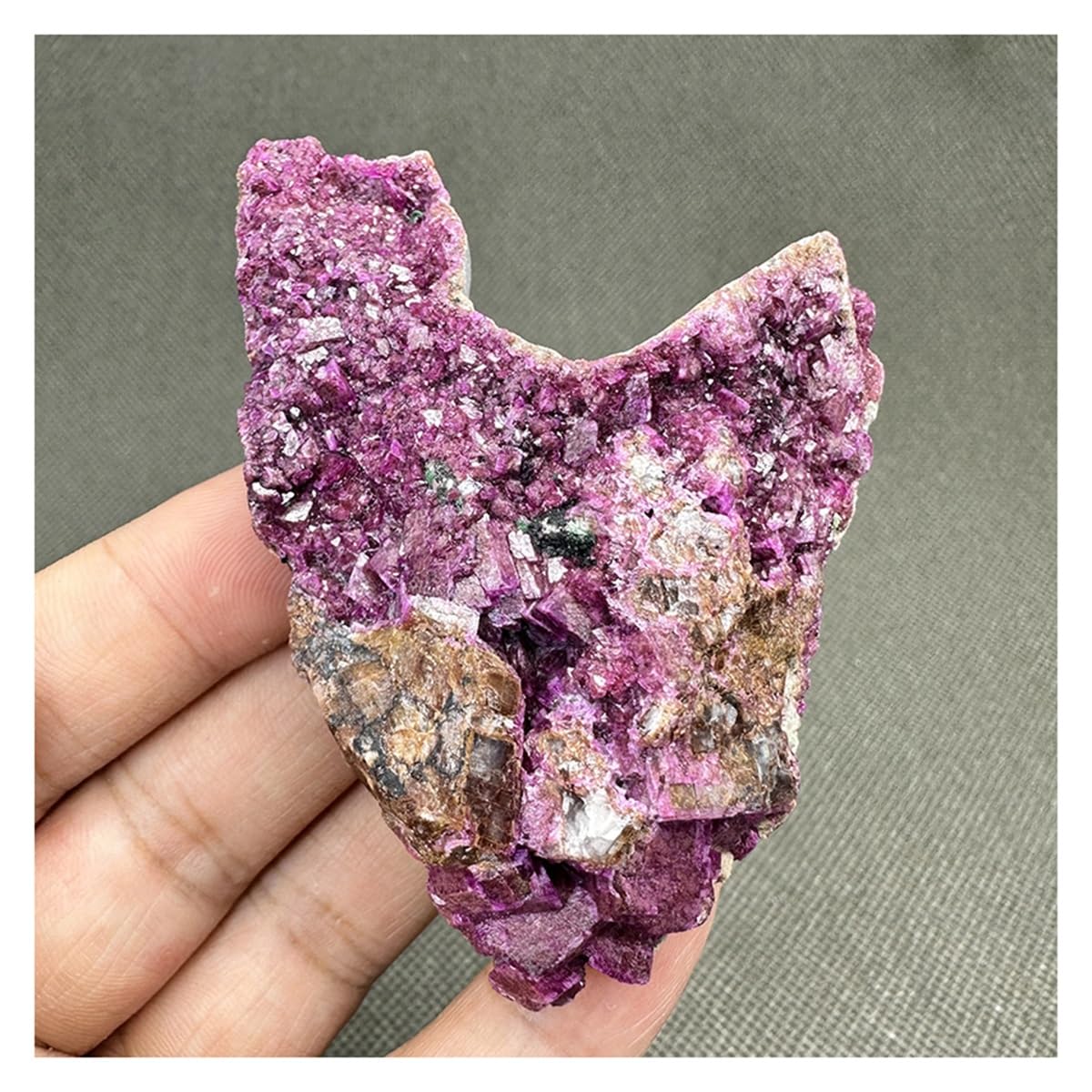 Cristaux de Quartz Authentiques : Une Pièce Minérale Unique d'Exception