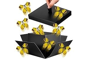 XLSXEXCL Exploding Box for Her: A Butterfly Surprise to Flutter Her Heart