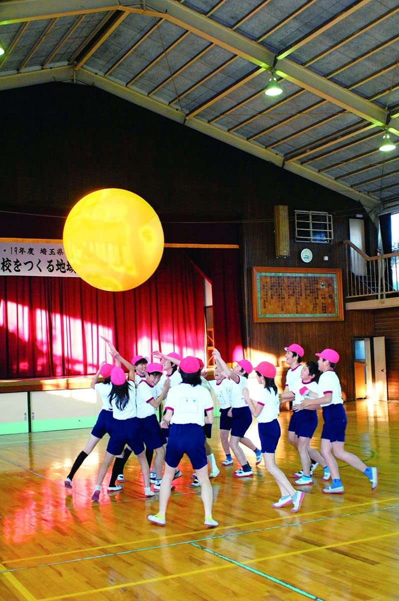 Amazon.co.jp: TOEI LIGHT(トーエイライト) ジャンボゲームボール120 B