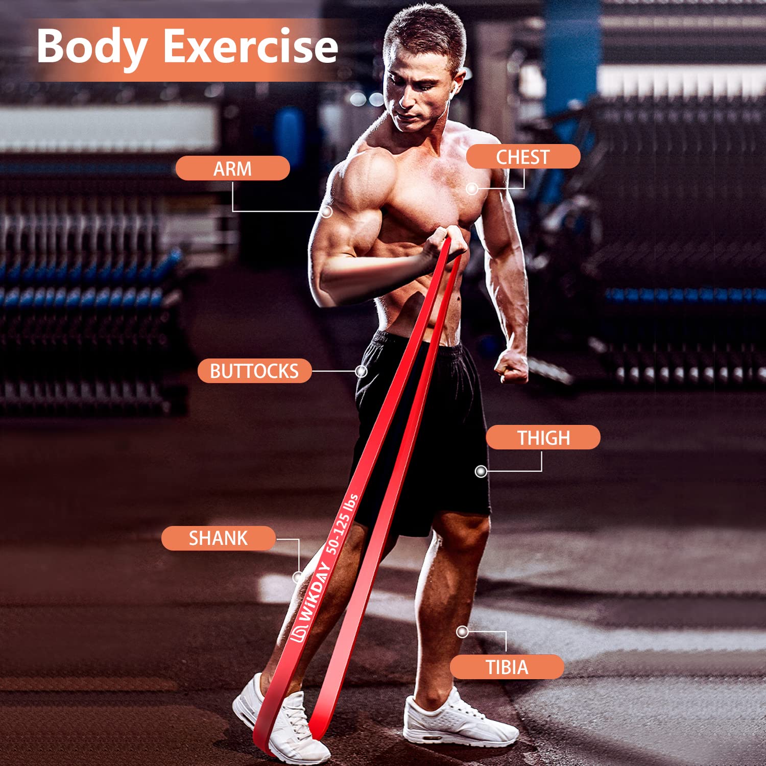 WIKDAY Widerstandsbänder, Klimmzugbänder, Workout-Bänder für Übung, dickes schweres Widerstandsband-Set mit Türanker, elastische Bänder für Körperdehnung, Crossfit-Training zu Hause/Fitnessstudio