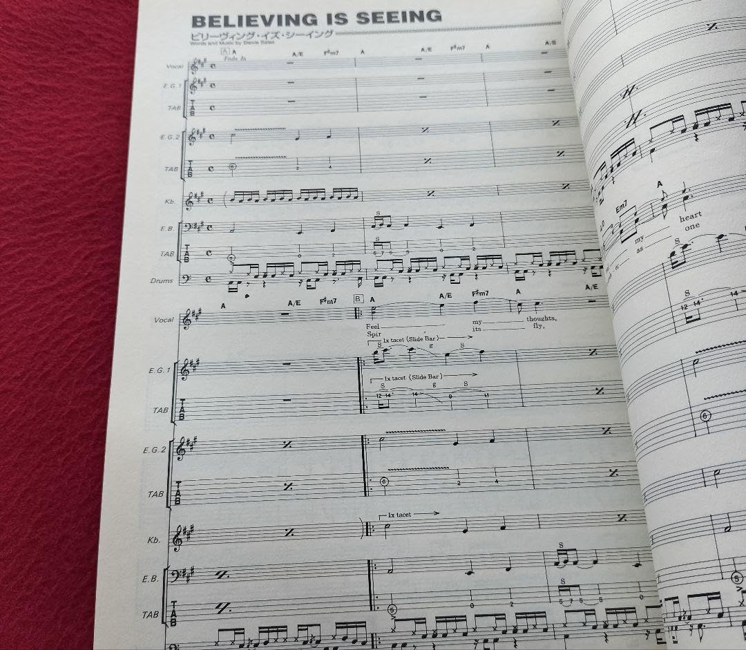 Amazon.co.jp: STEVIE SALAS スティーヴィーサラス オルタネイティヴ  