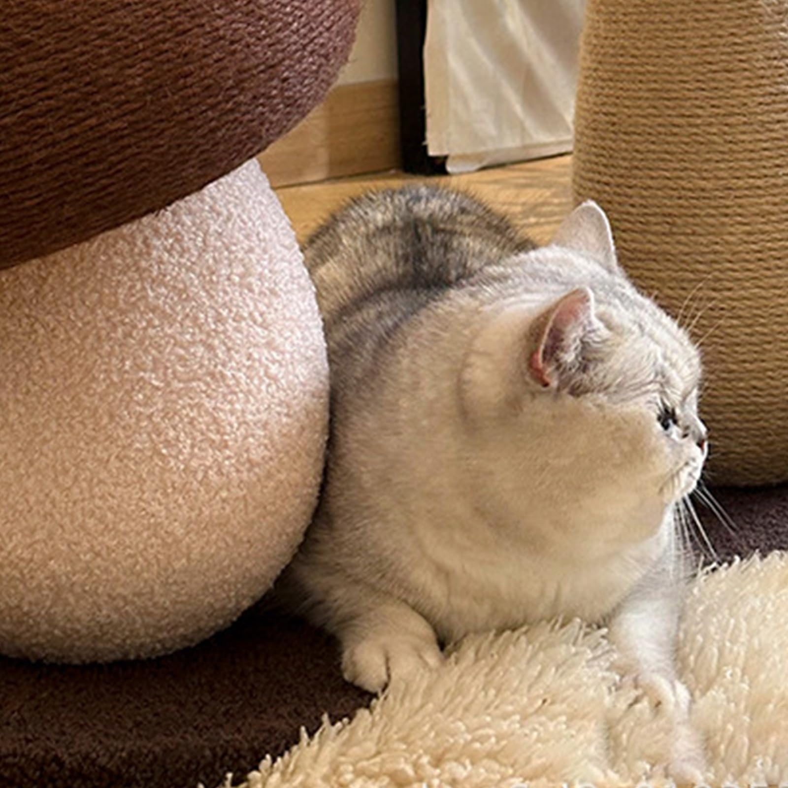 Jouet interactif pour chats en forme de champignon B