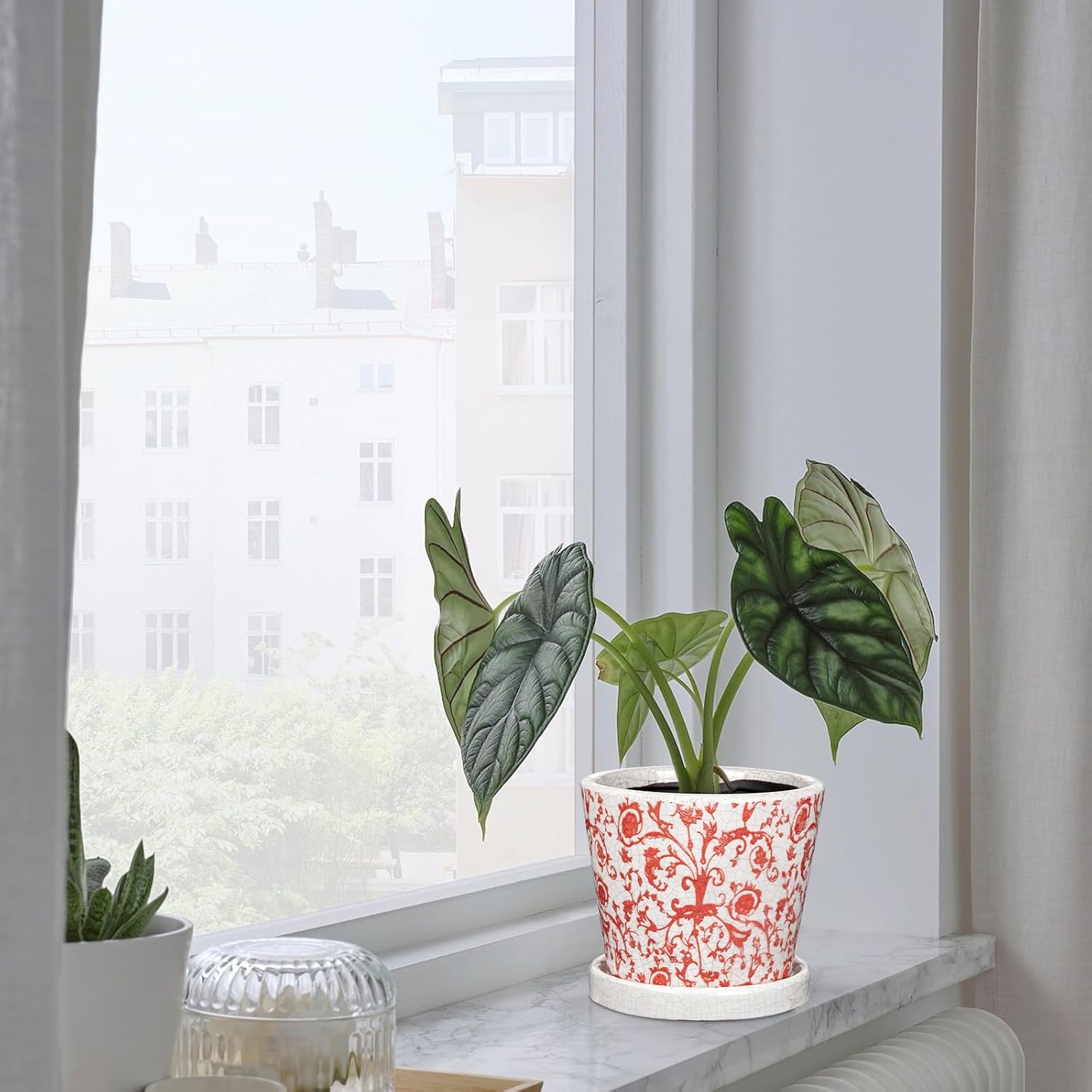 Set of 3 Pink Plant Pots, Small Flower Pots Round Planter Pot with Drainage Hole and Saucers Modern Ceramic Planters for Indoor Plants Succulents Cactus Orchid Garden 5.5 Inch Outdoor Plant Pot
