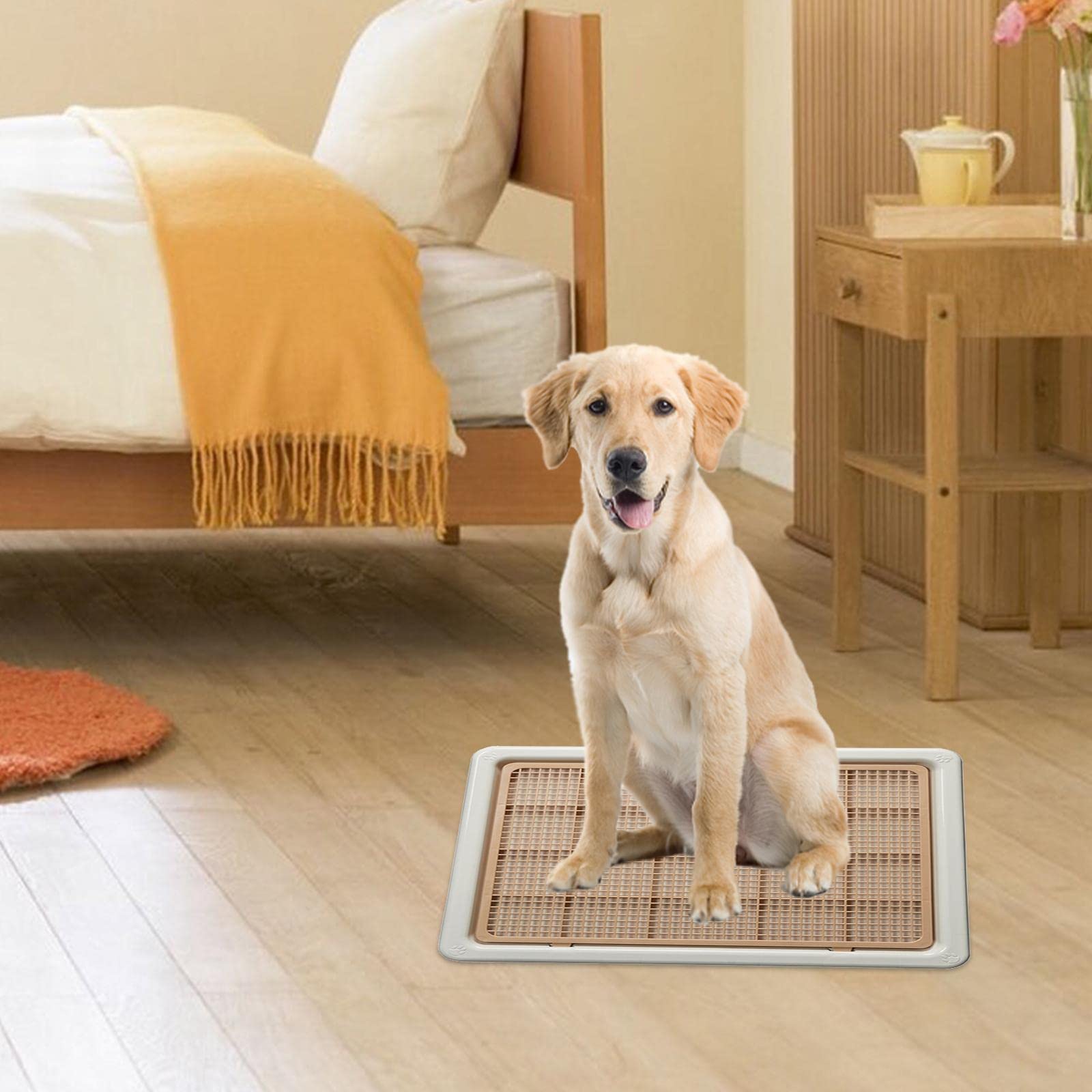 Bac à Litière pour Chat, Aide à L'apprentissage de La Propreté pour Chiens, Facile à Nettoyer, en Polypropylène, avec Grille Amovible, Con, Café au Lait