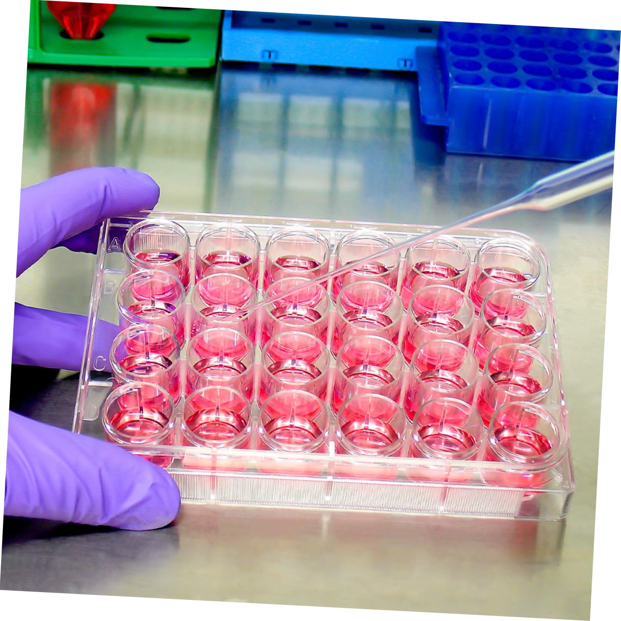FUNOMOCYA 2sets 24-Hole Cell Culture Trays Lab Equipment Plates Tissue Culture Plate Strips 2pcs*2