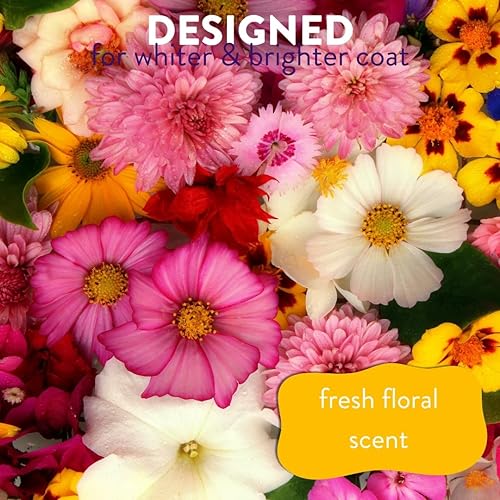 Miniatura 3 de Champú blanqueador vibrante para perros, galón – Natural, blanquea e ilumina el pelaje, elimina olores malolientes de mascotas, hidrata la piel seca