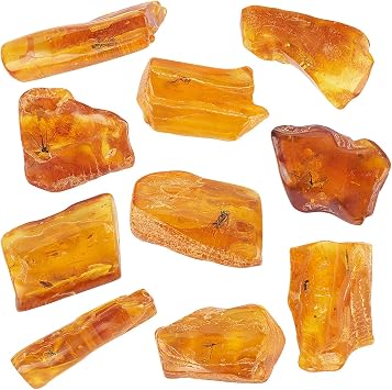 Baltic Amber Natural Fossil Insects,Insects from Millions of Years ago,True Insect Samples-Science Classroom Science Education Animal Specimens A Amber with Insects Fossils