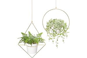 Mkono Boho Gold Hanging Planters for Indoor Plants, Set of 2