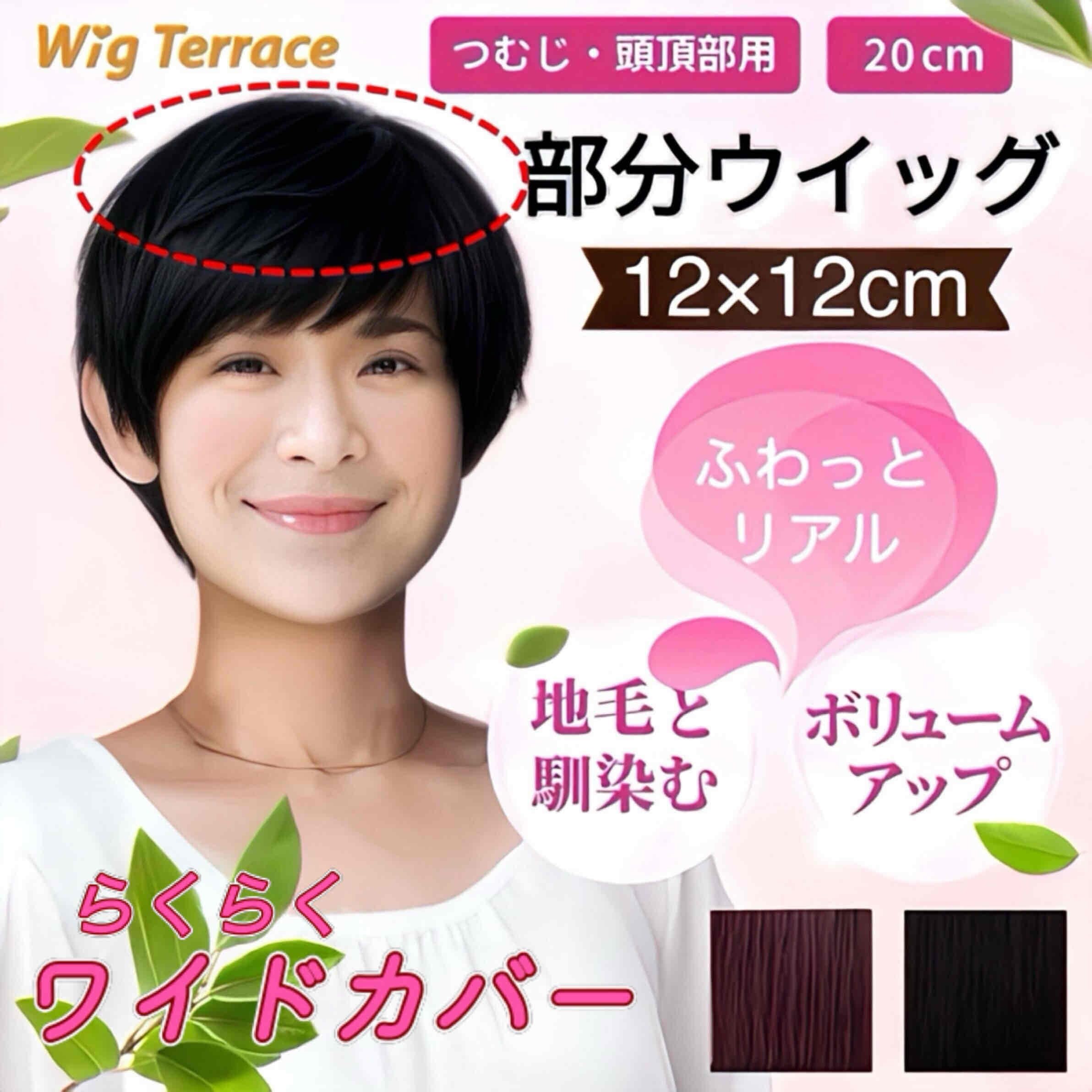 Amazon.co.jp: Wig Terrace 人毛100% 部分ウィッグ 広範囲人工スキン